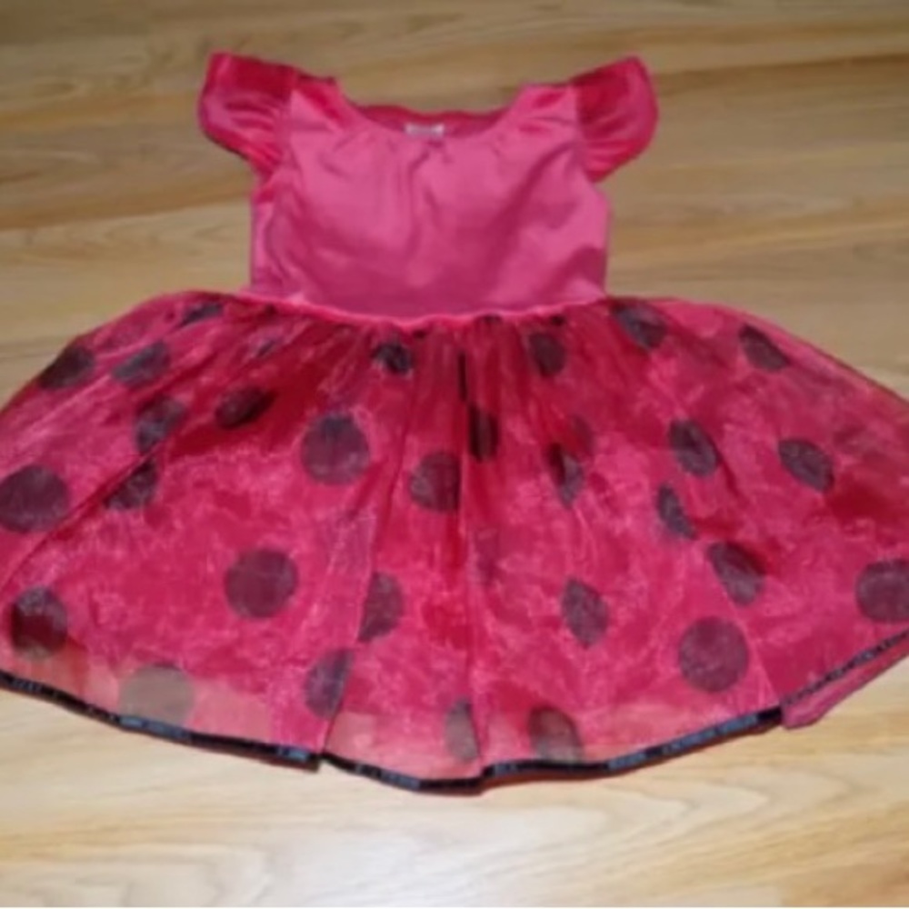 Size 3-4 Gymboree Red Black Ladybug Lady Bug Halloween Costume Dress Tutu EUC